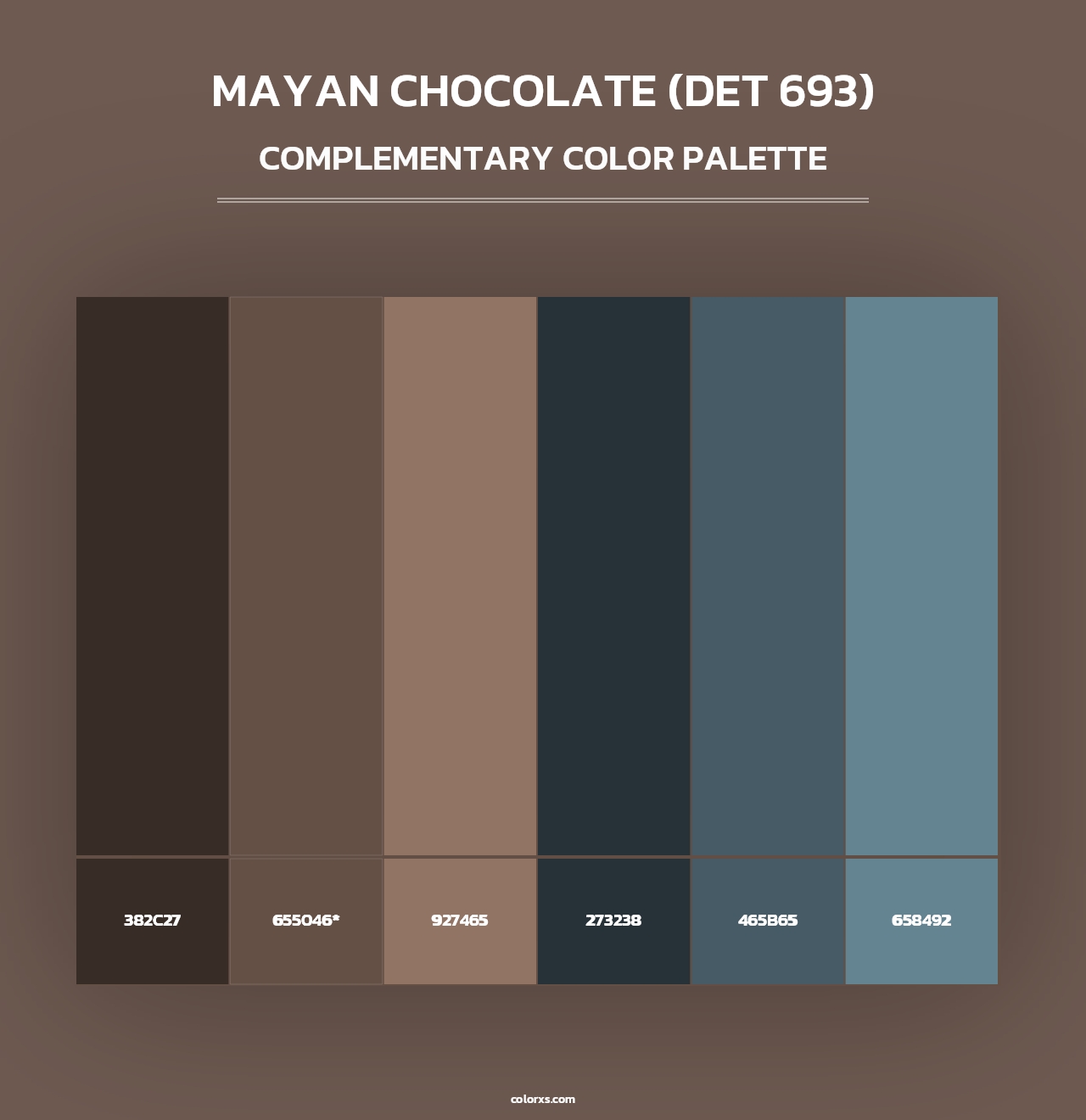 Mayan Chocolate (DET 693) - Complementary Color Palette