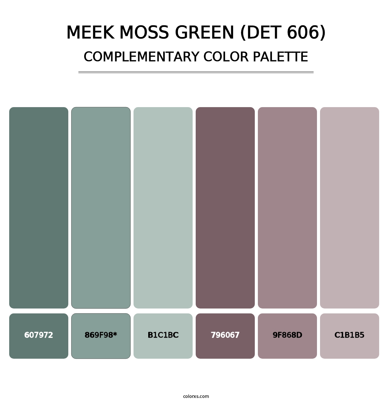 Meek Moss Green (DET 606) - Complementary Color Palette