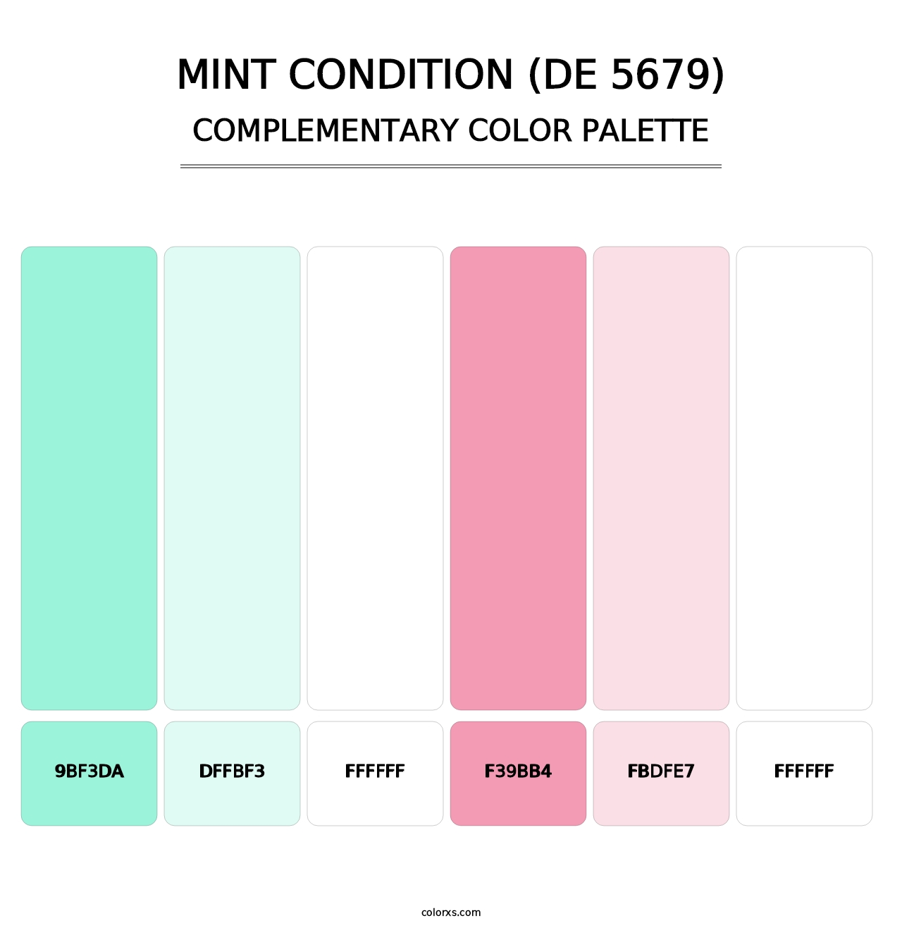 Mint Condition (DE 5679) - Complementary Color Palette