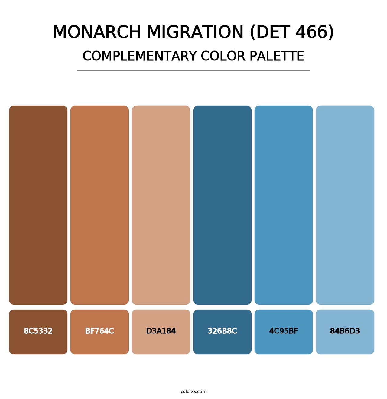 Monarch Migration (DET 466) - Complementary Color Palette