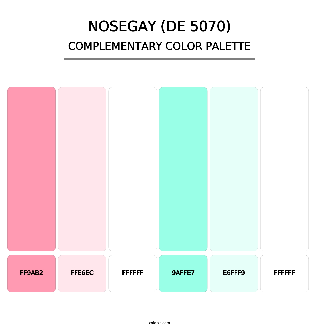 Nosegay (DE 5070) - Complementary Color Palette