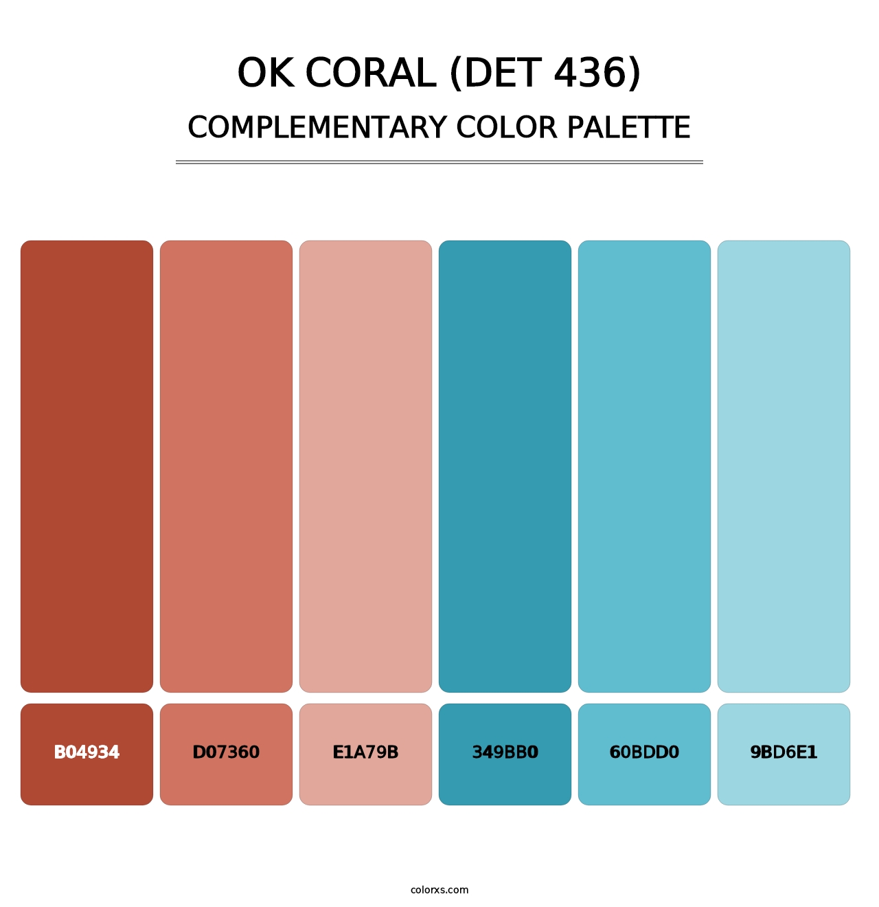 OK Coral (DET 436) - Complementary Color Palette