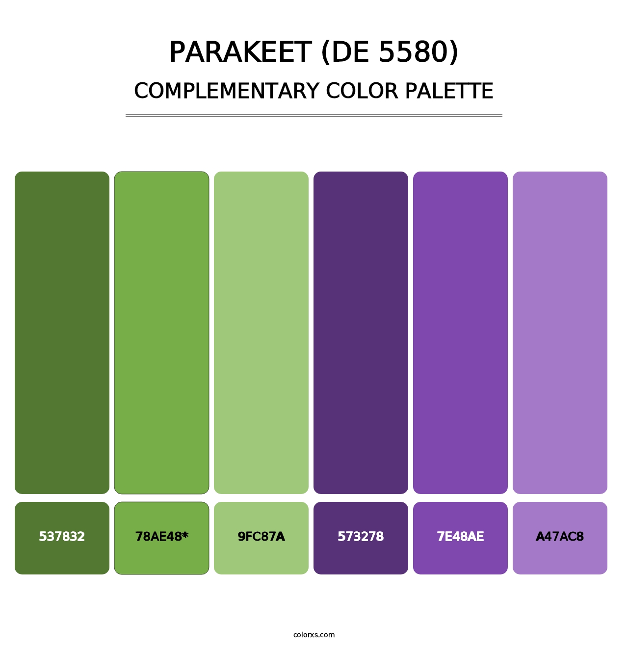 Parakeet (DE 5580) - Complementary Color Palette