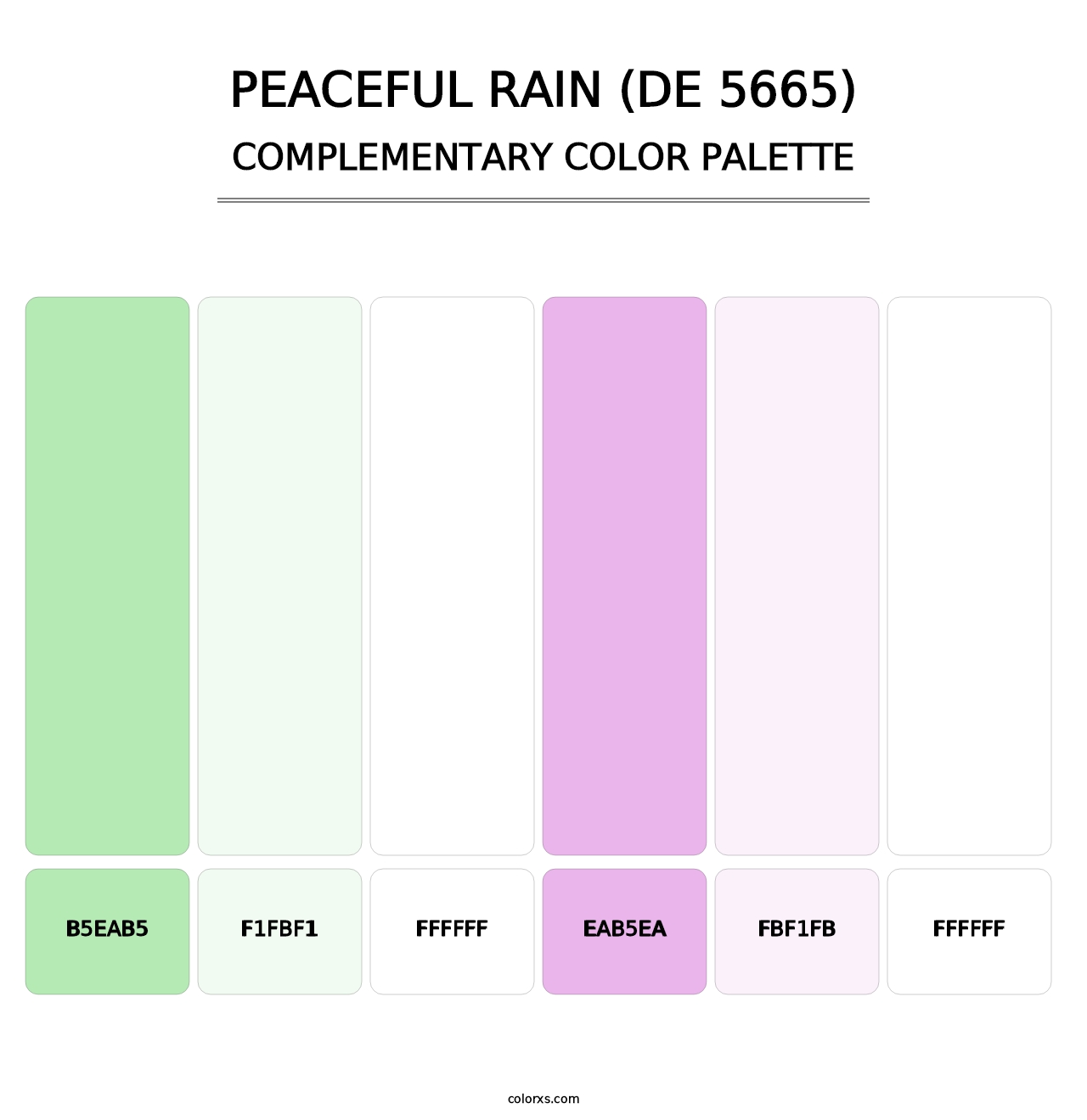 Peaceful Rain (DE 5665) - Complementary Color Palette