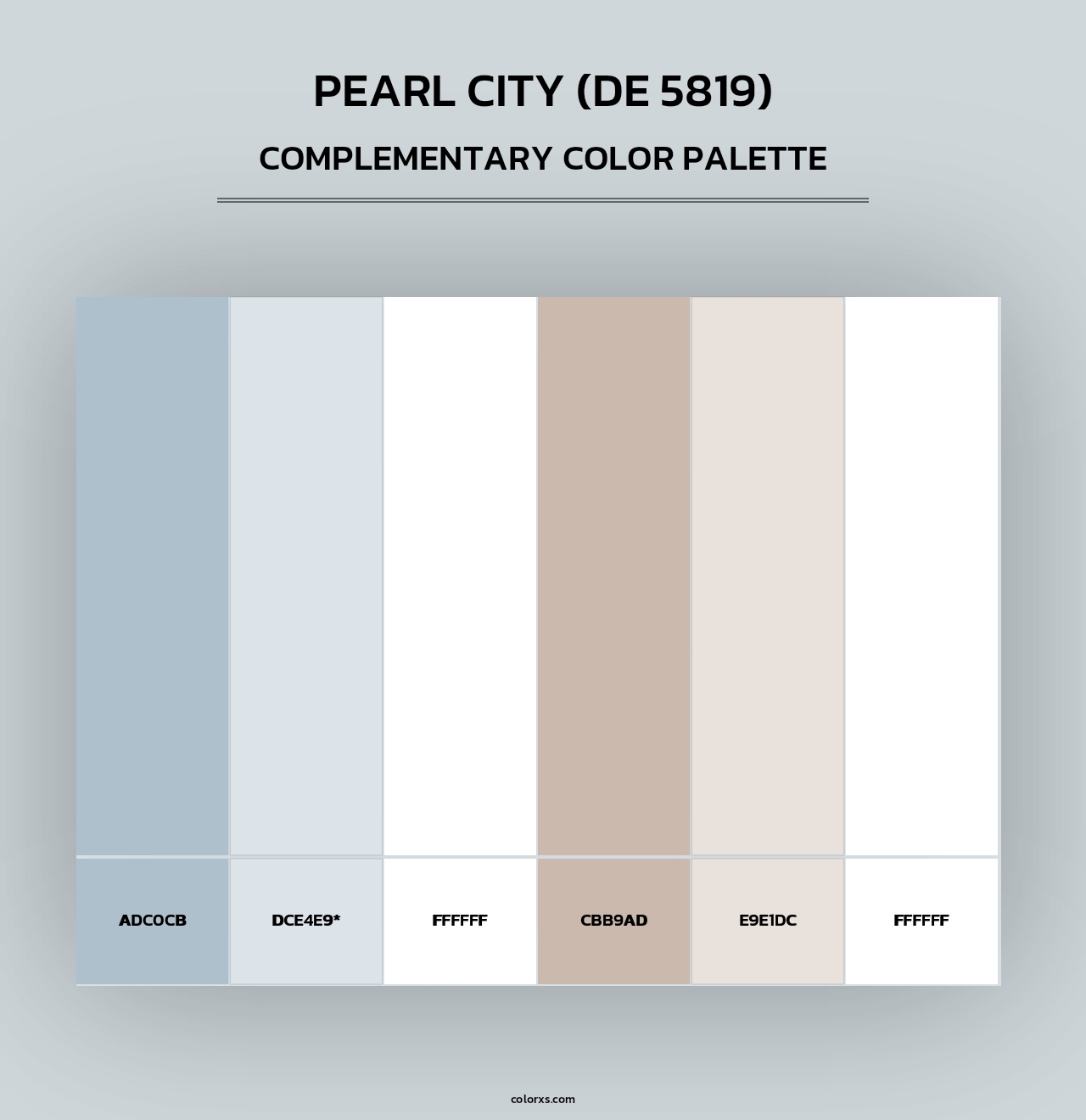 Pearl City (DE 5819) - Complementary Color Palette