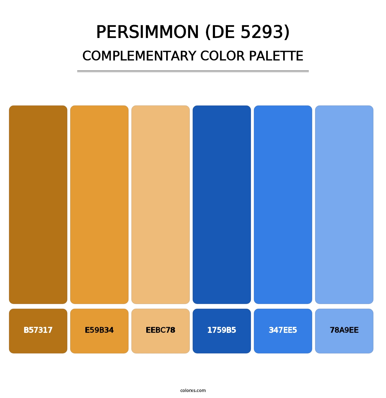 Persimmon (DE 5293) - Complementary Color Palette