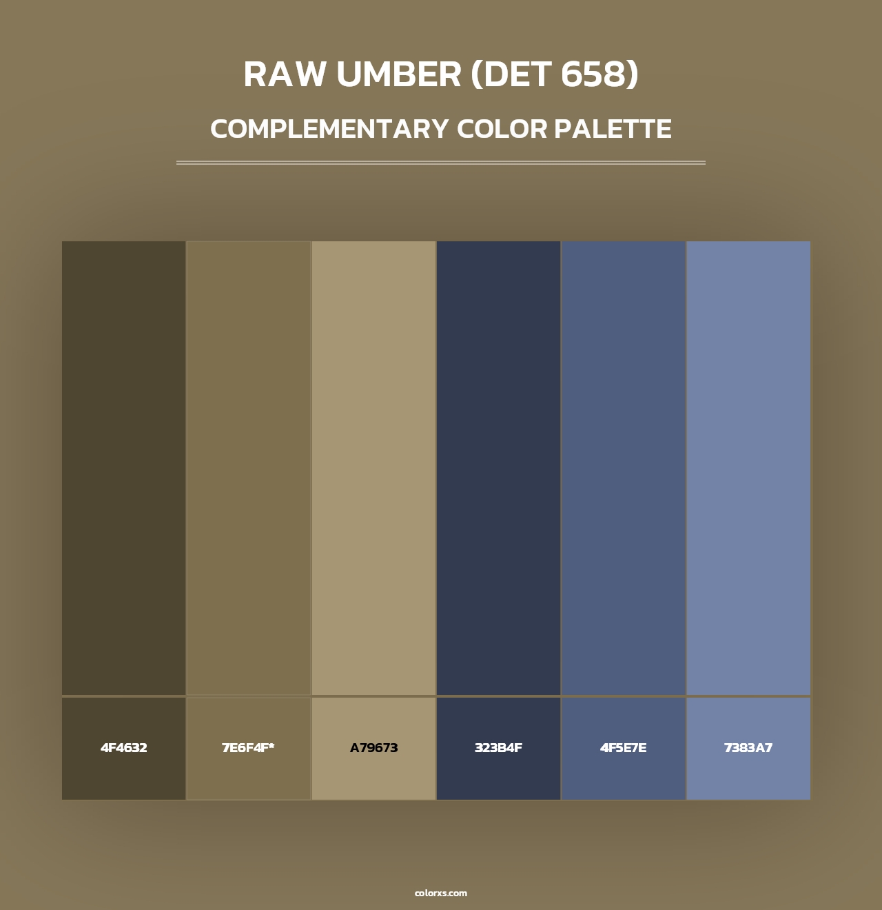 Raw Umber (DET 658) - Complementary Color Palette