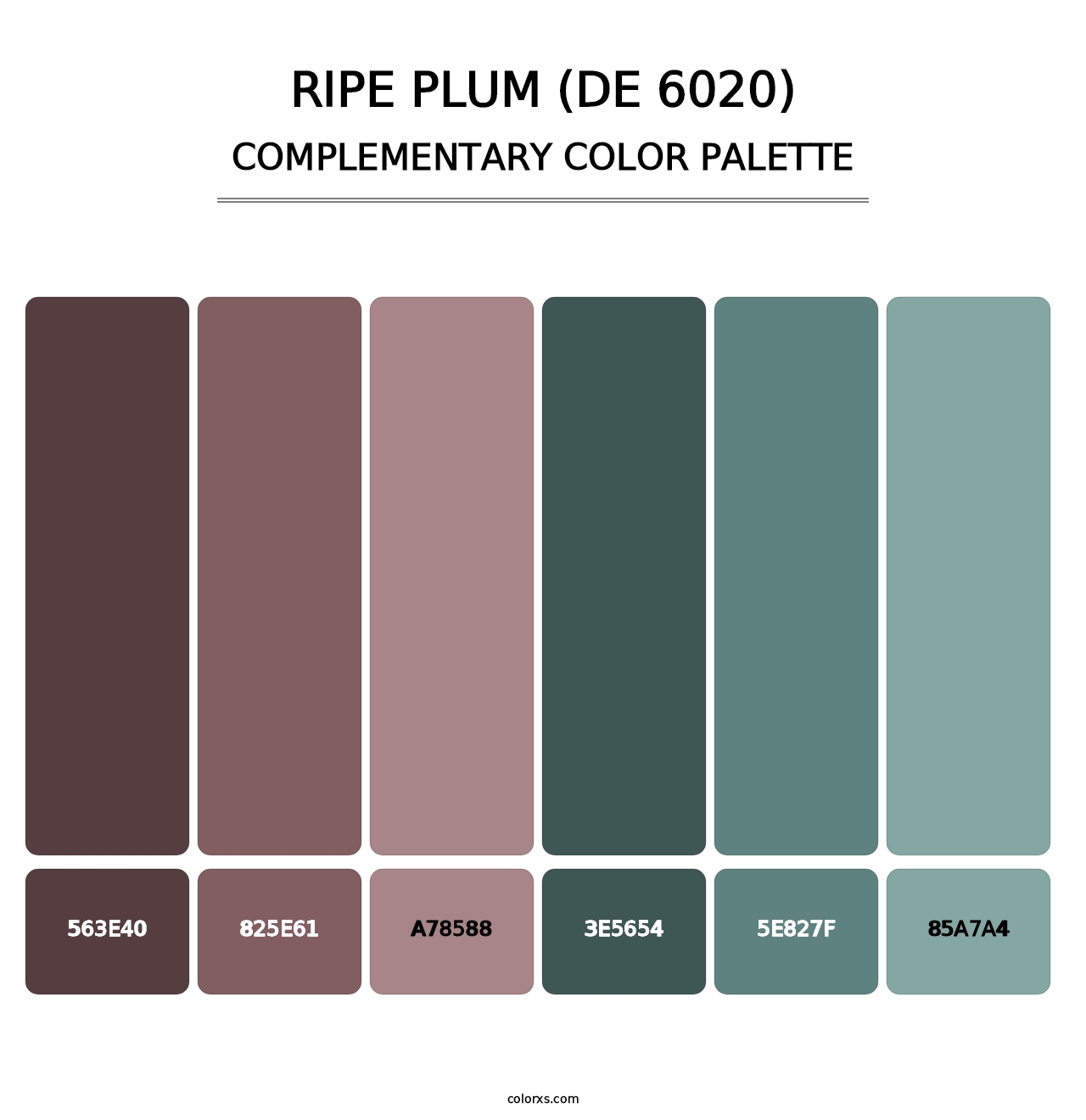 Ripe Plum (DE 6020) - Complementary Color Palette