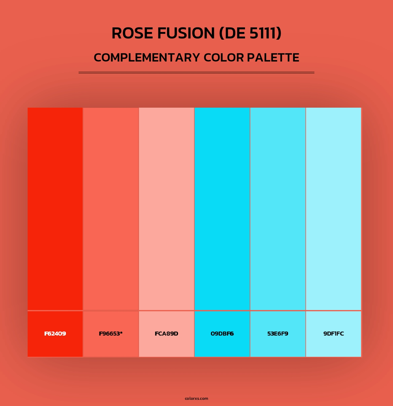 Rose Fusion (DE 5111) - Complementary Color Palette
