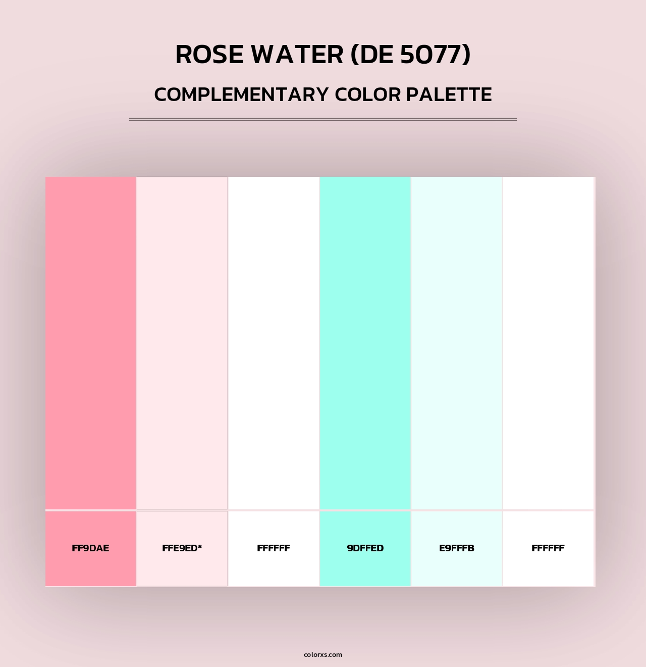 Rose Water (DE 5077) - Complementary Color Palette