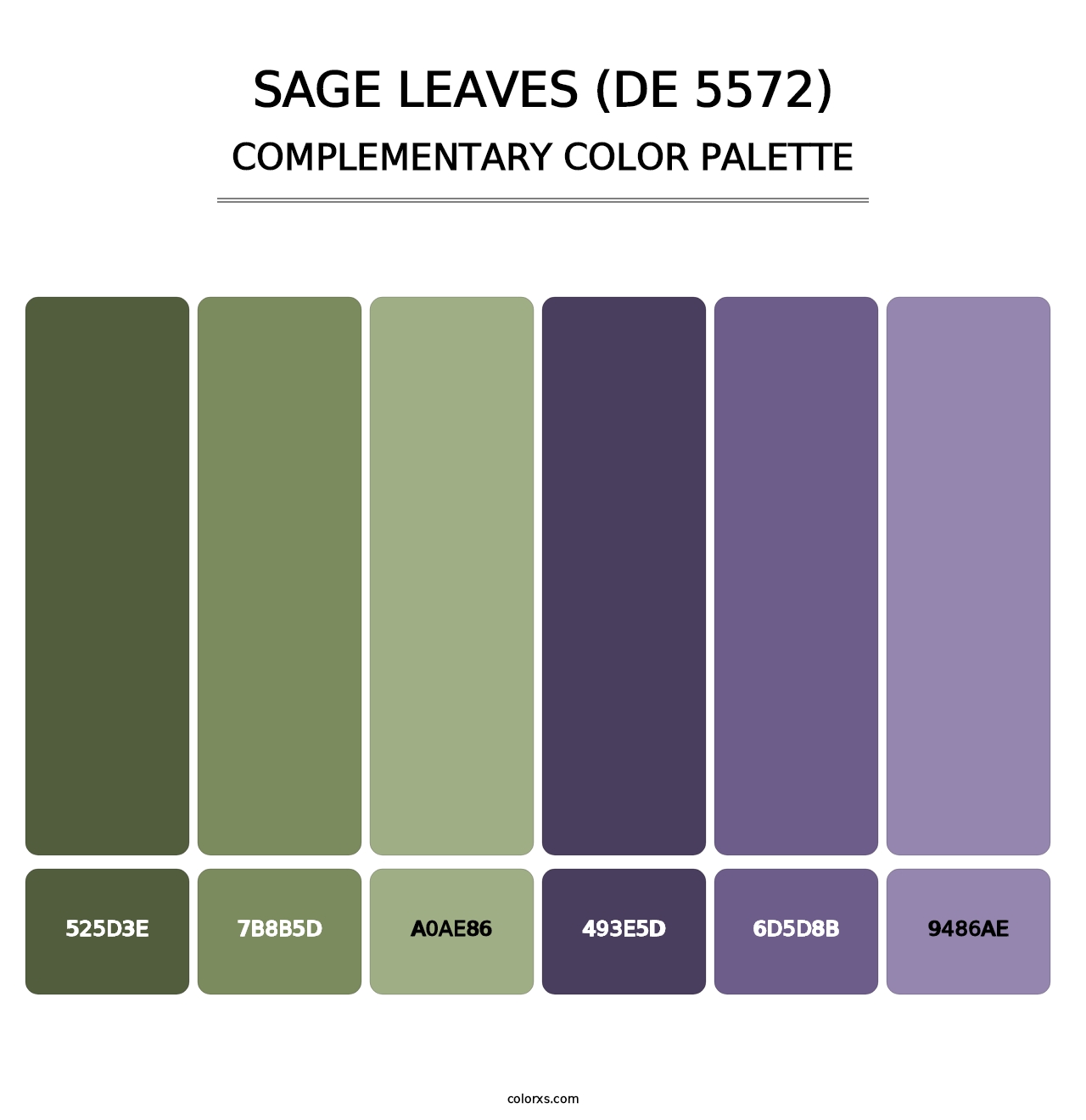 Sage Leaves (DE 5572) - Complementary Color Palette