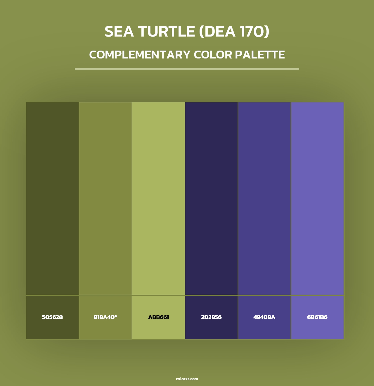 Sea Turtle (DEA 170) - Complementary Color Palette