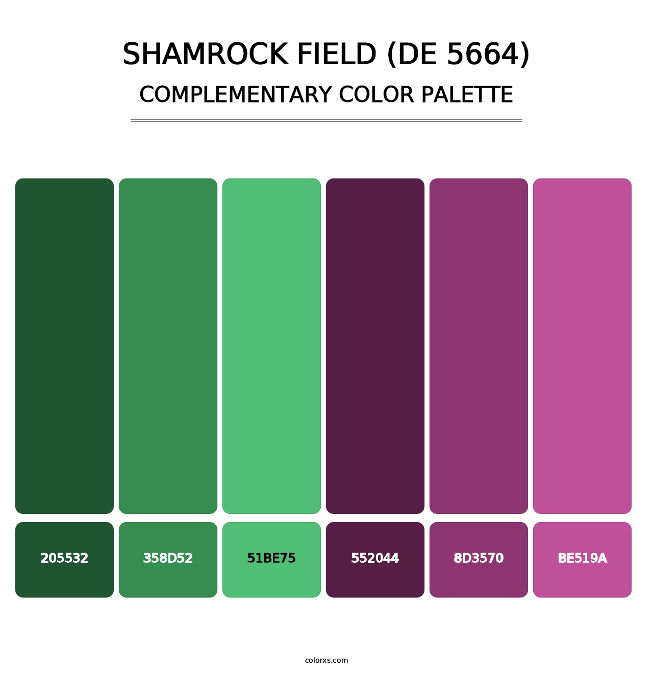 Shamrock Field (DE 5664) - Complementary Color Palette
