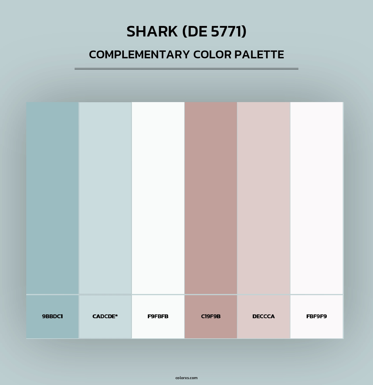 Shark (DE 5771) - Complementary Color Palette