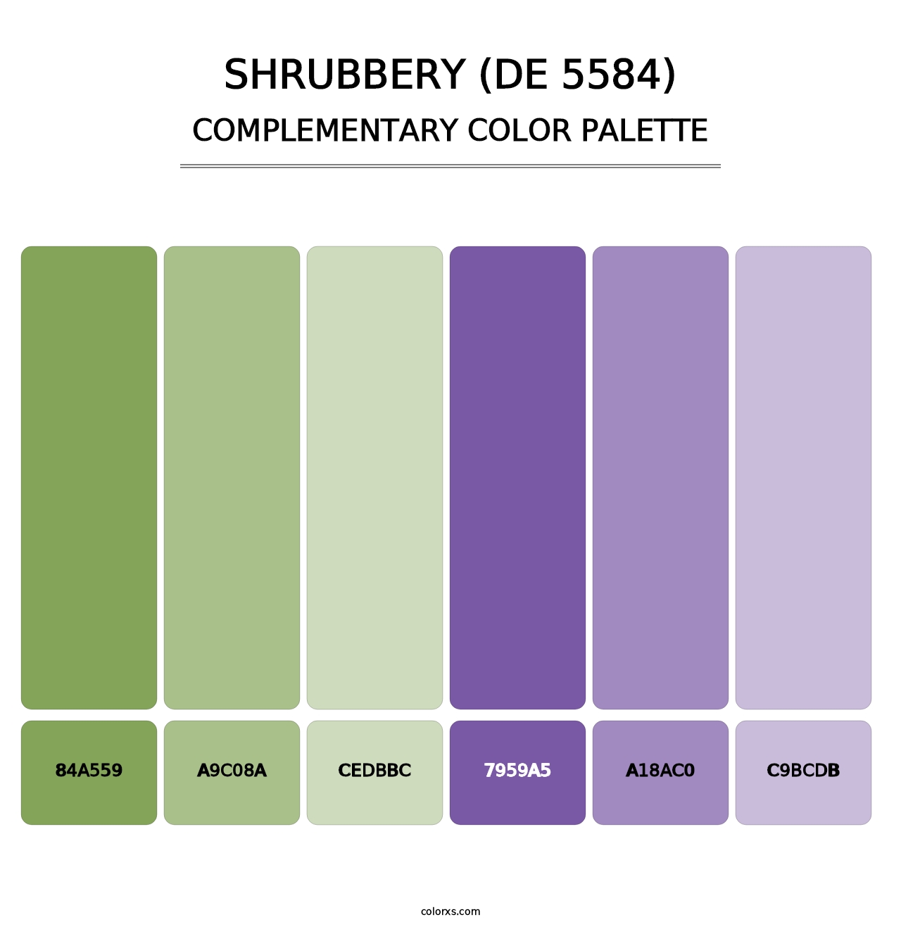 Shrubbery (DE 5584) - Complementary Color Palette