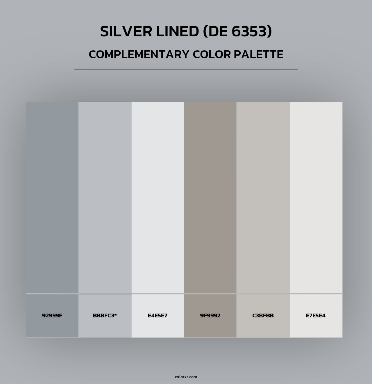 Silver Lined (DE 6353) - Complementary Color Palette