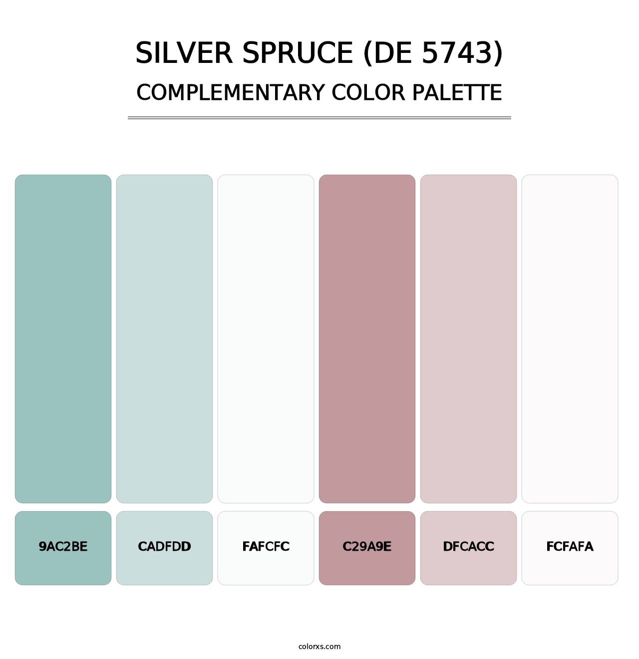 Silver Spruce (DE 5743) - Complementary Color Palette