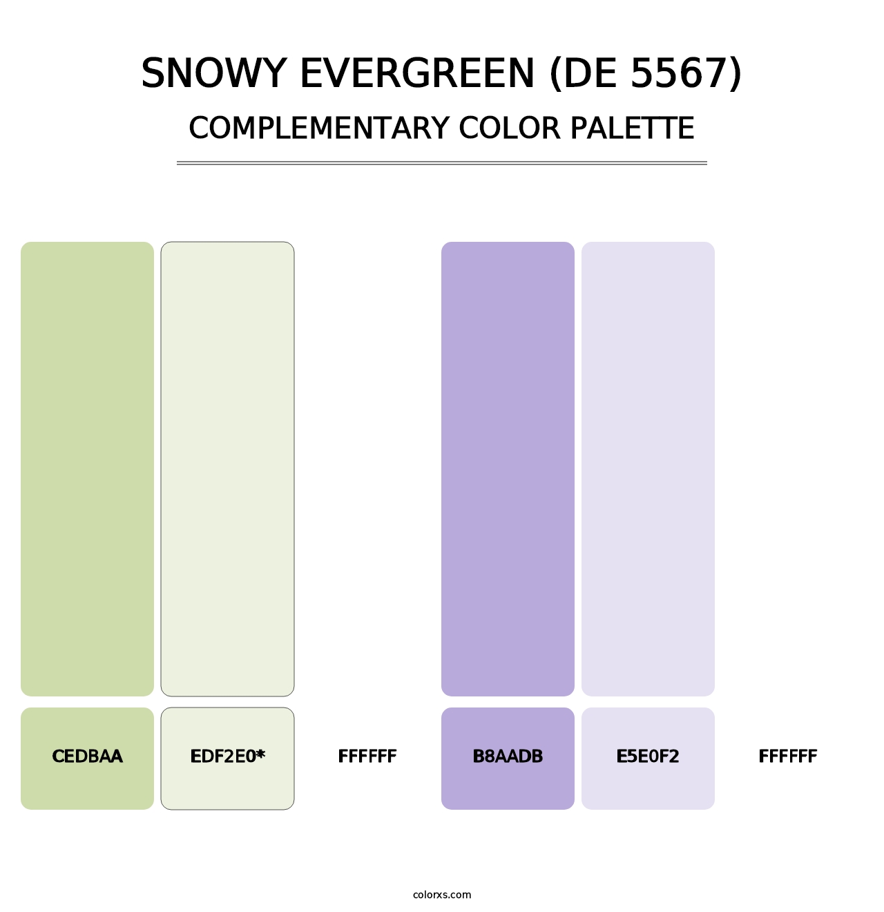 Snowy Evergreen (DE 5567) - Complementary Color Palette
