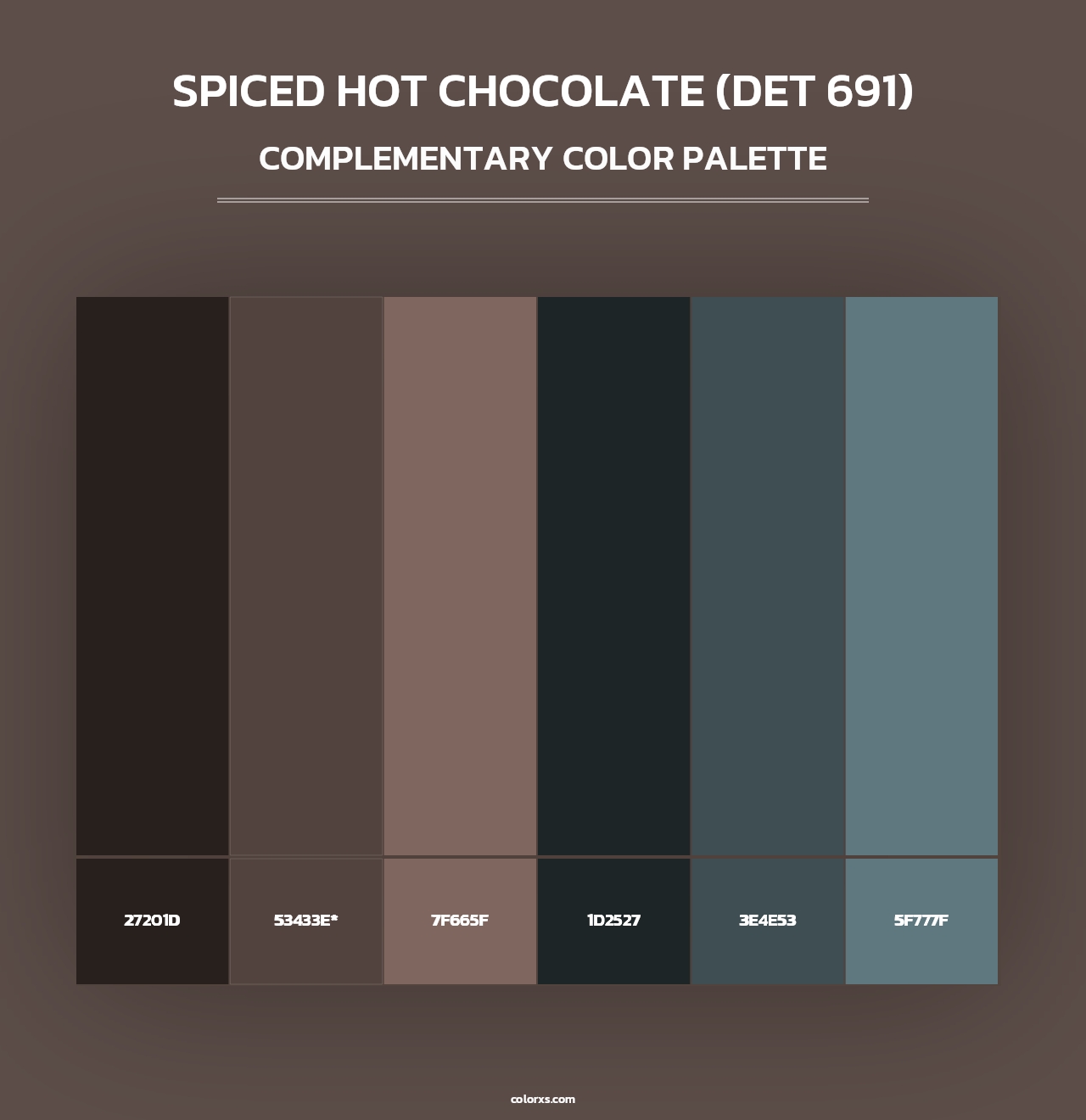 Spiced Hot Chocolate (DET 691) - Complementary Color Palette