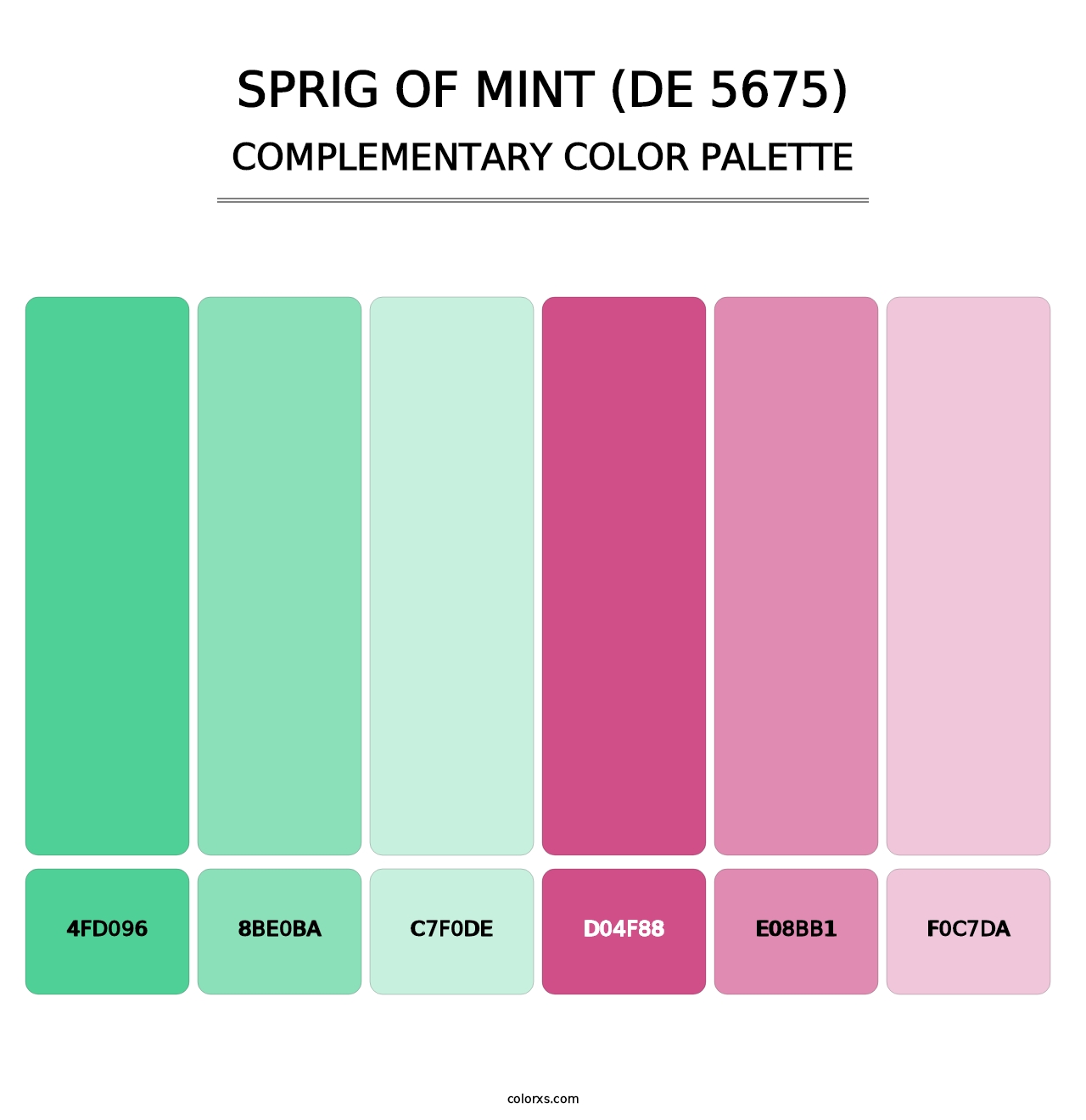 Sprig of Mint (DE 5675) - Complementary Color Palette