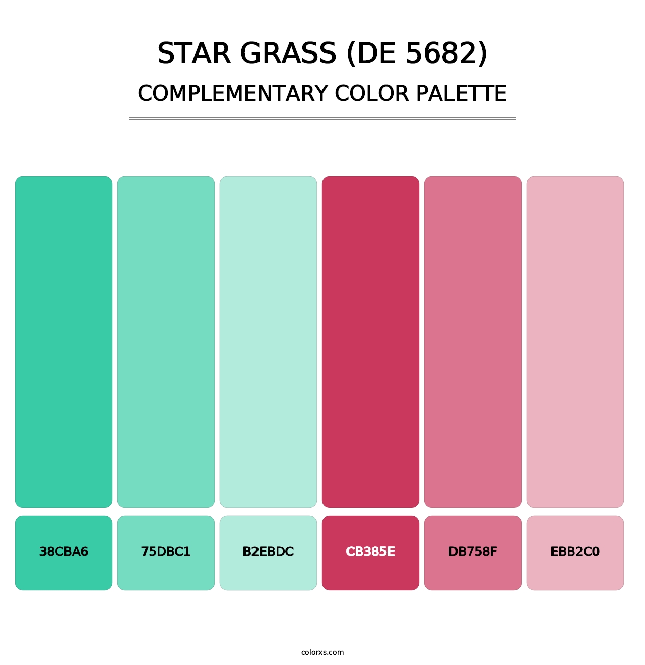Star Grass (DE 5682) - Complementary Color Palette