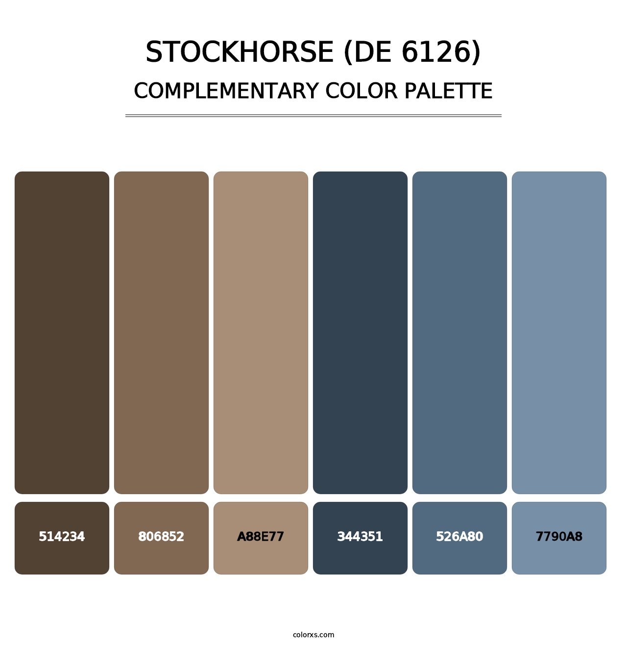 Stockhorse (DE 6126) - Complementary Color Palette