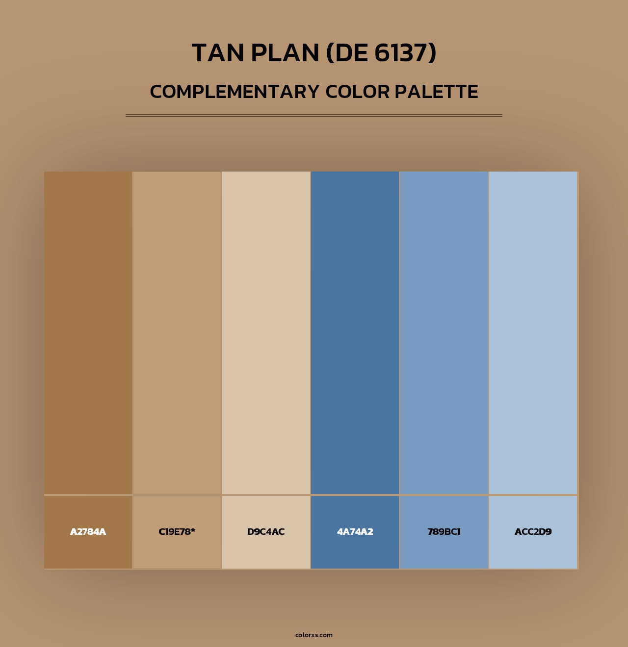 Tan Plan (DE 6137) - Complementary Color Palette