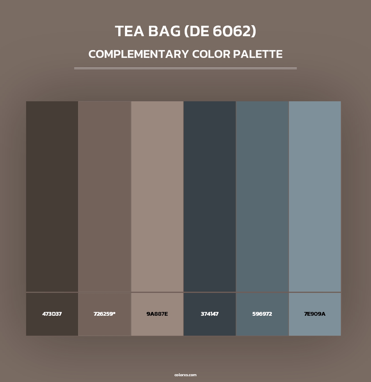 Tea Bag (DE 6062) - Complementary Color Palette