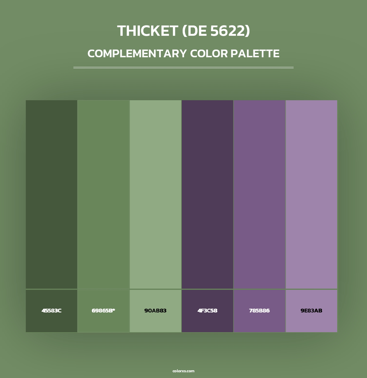 Thicket (DE 5622) - Complementary Color Palette