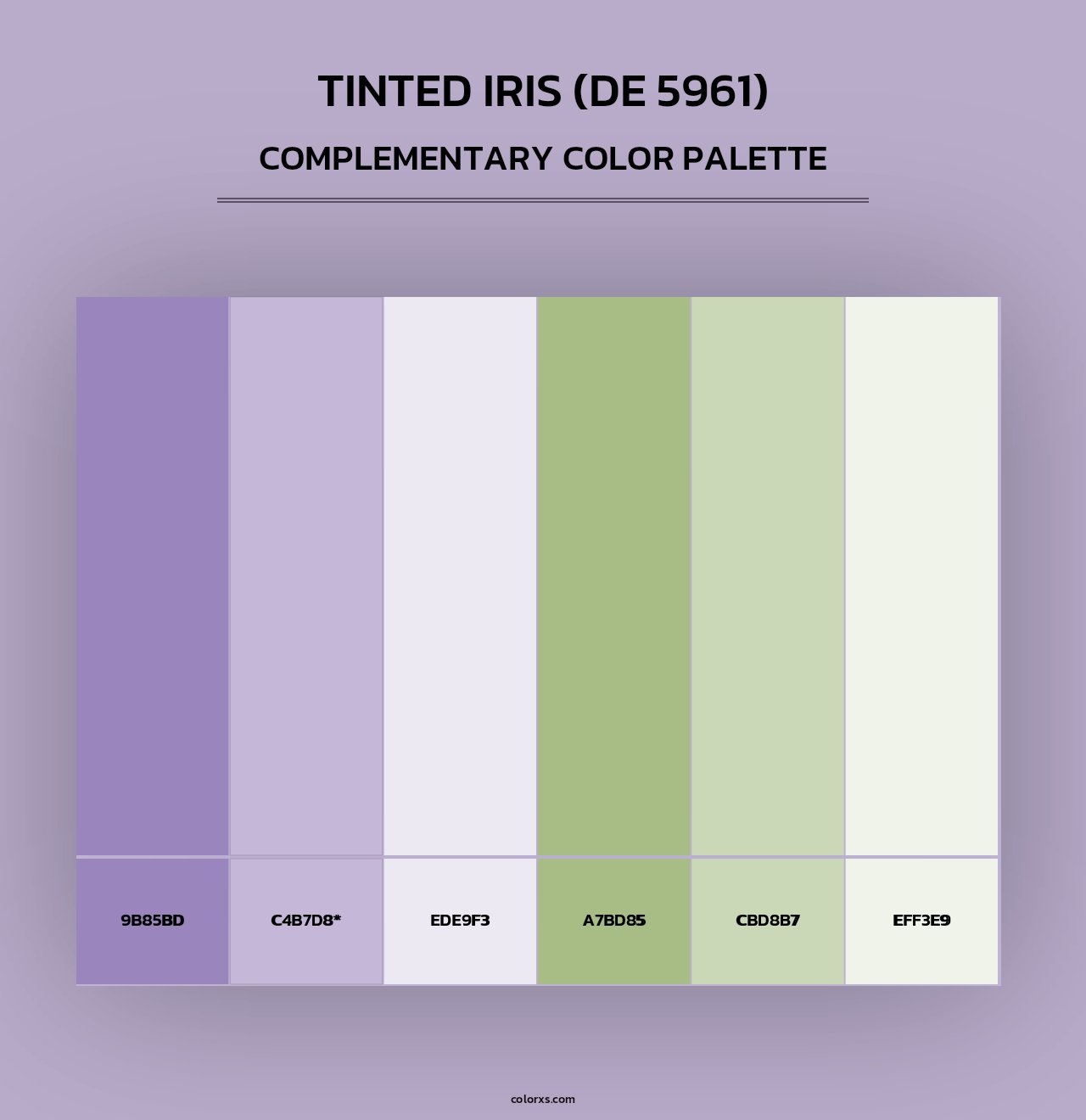 Tinted Iris (DE 5961) - Complementary Color Palette