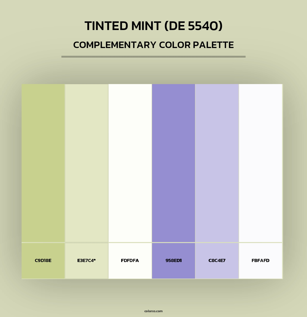 Tinted Mint (DE 5540) - Complementary Color Palette