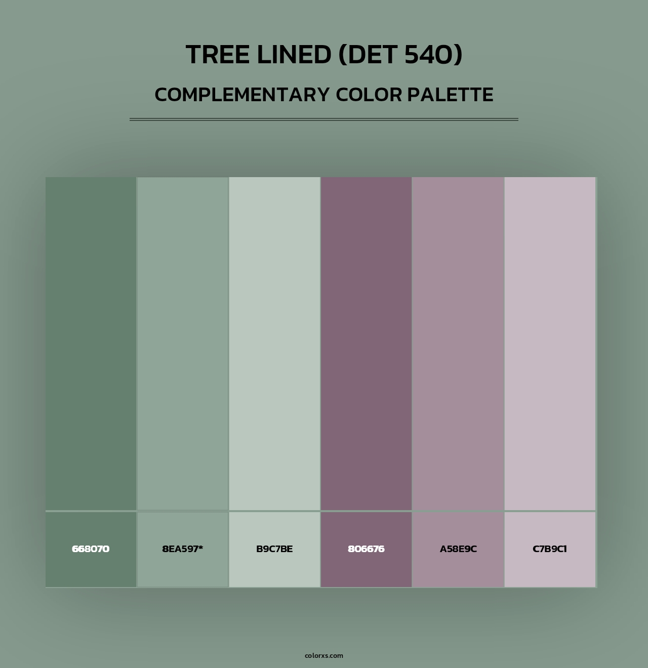 Tree Lined (DET 540) - Complementary Color Palette
