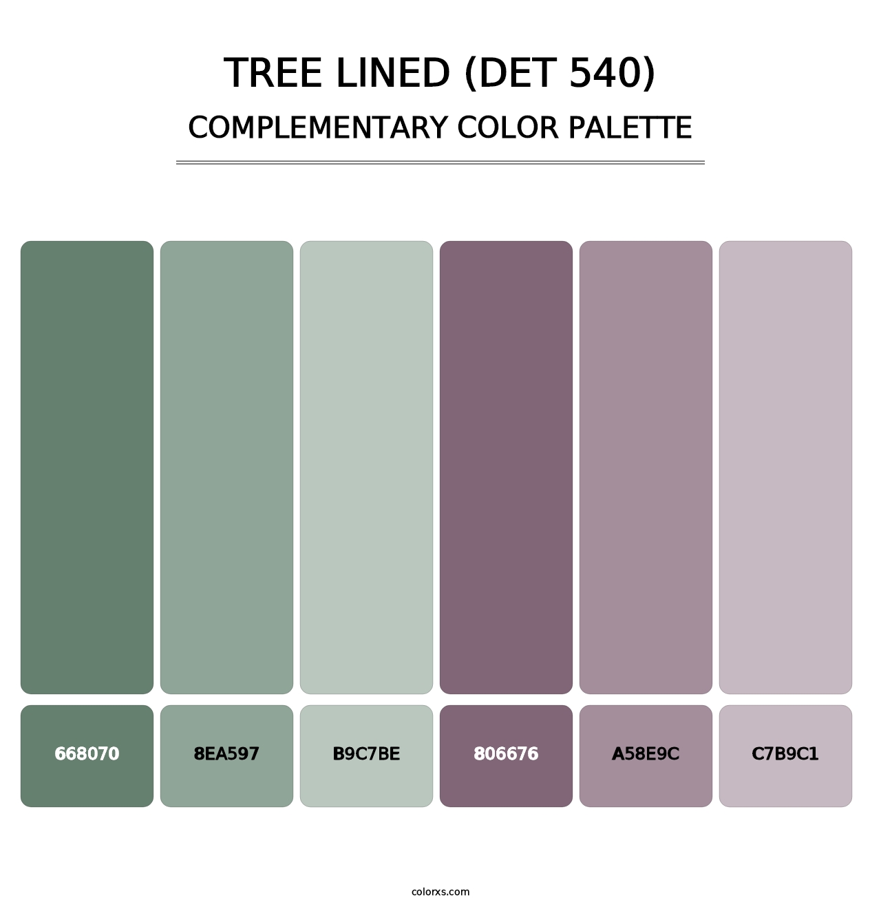 Tree Lined (DET 540) - Complementary Color Palette