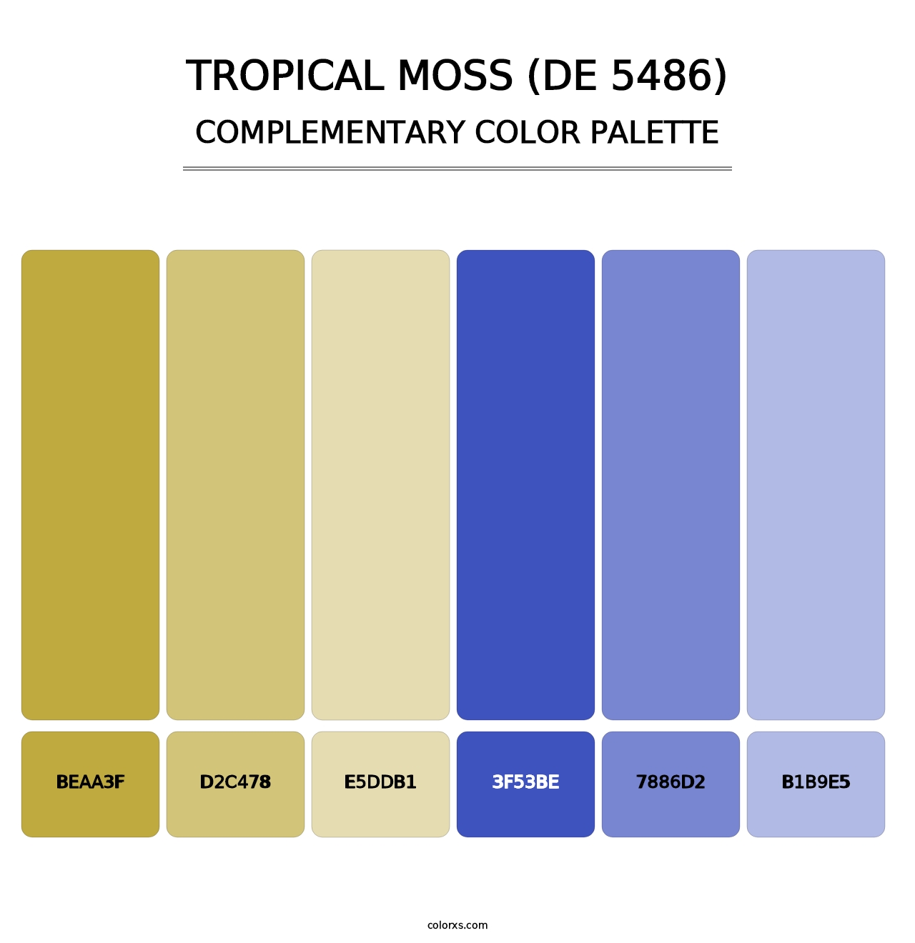 Tropical Moss (DE 5486) - Complementary Color Palette