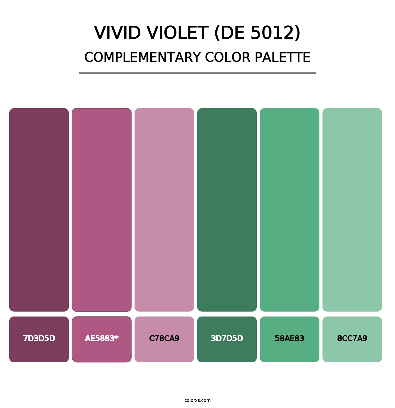 Vivid Violet (DE 5012) - Complementary Color Palette