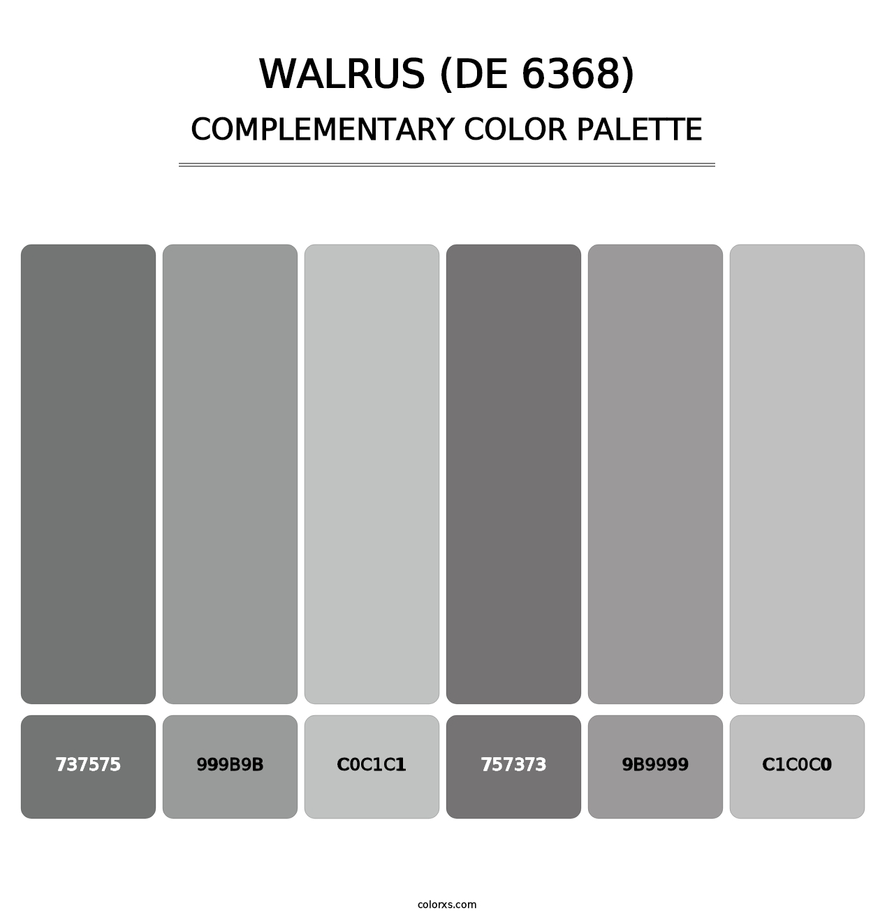 Walrus (DE 6368) - Complementary Color Palette