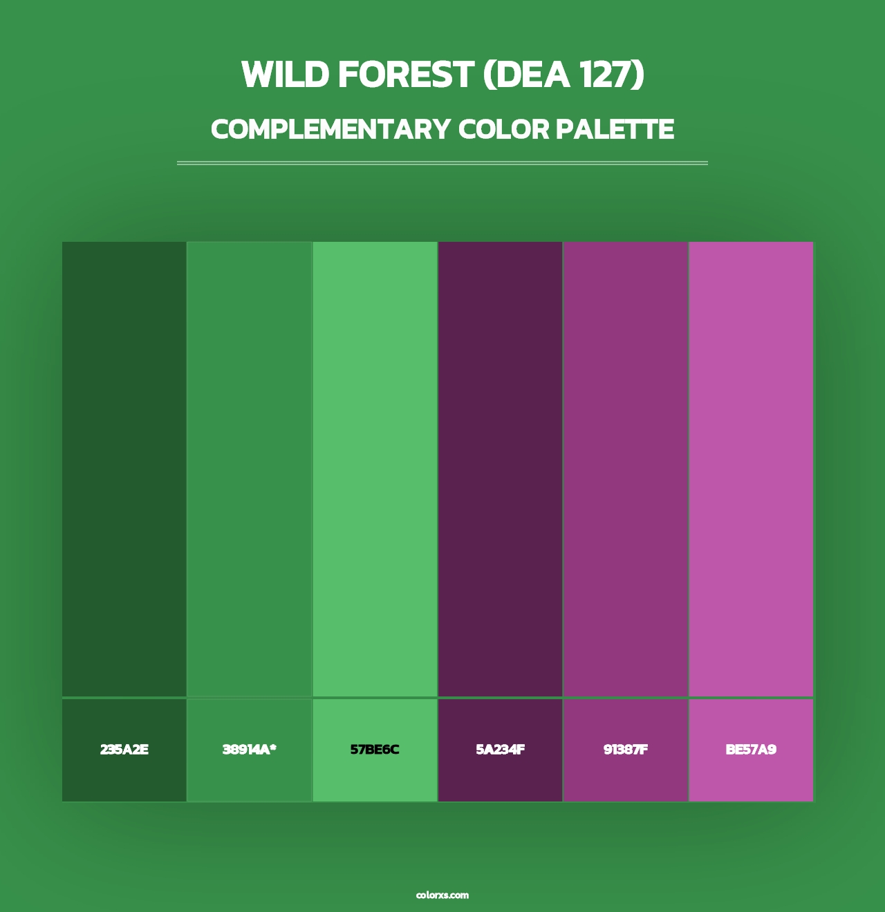 Wild Forest (DEA 127) - Complementary Color Palette