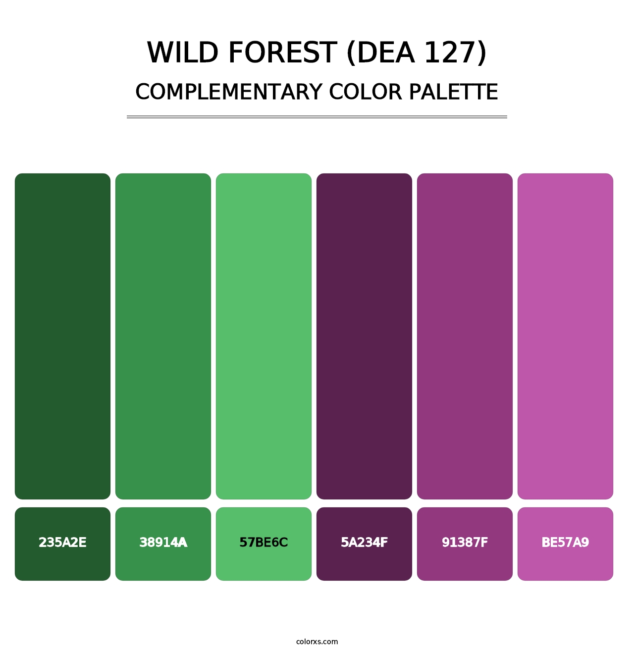 Wild Forest (DEA 127) - Complementary Color Palette