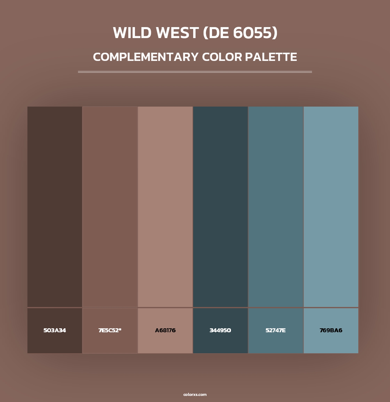 Wild West (DE 6055) - Complementary Color Palette