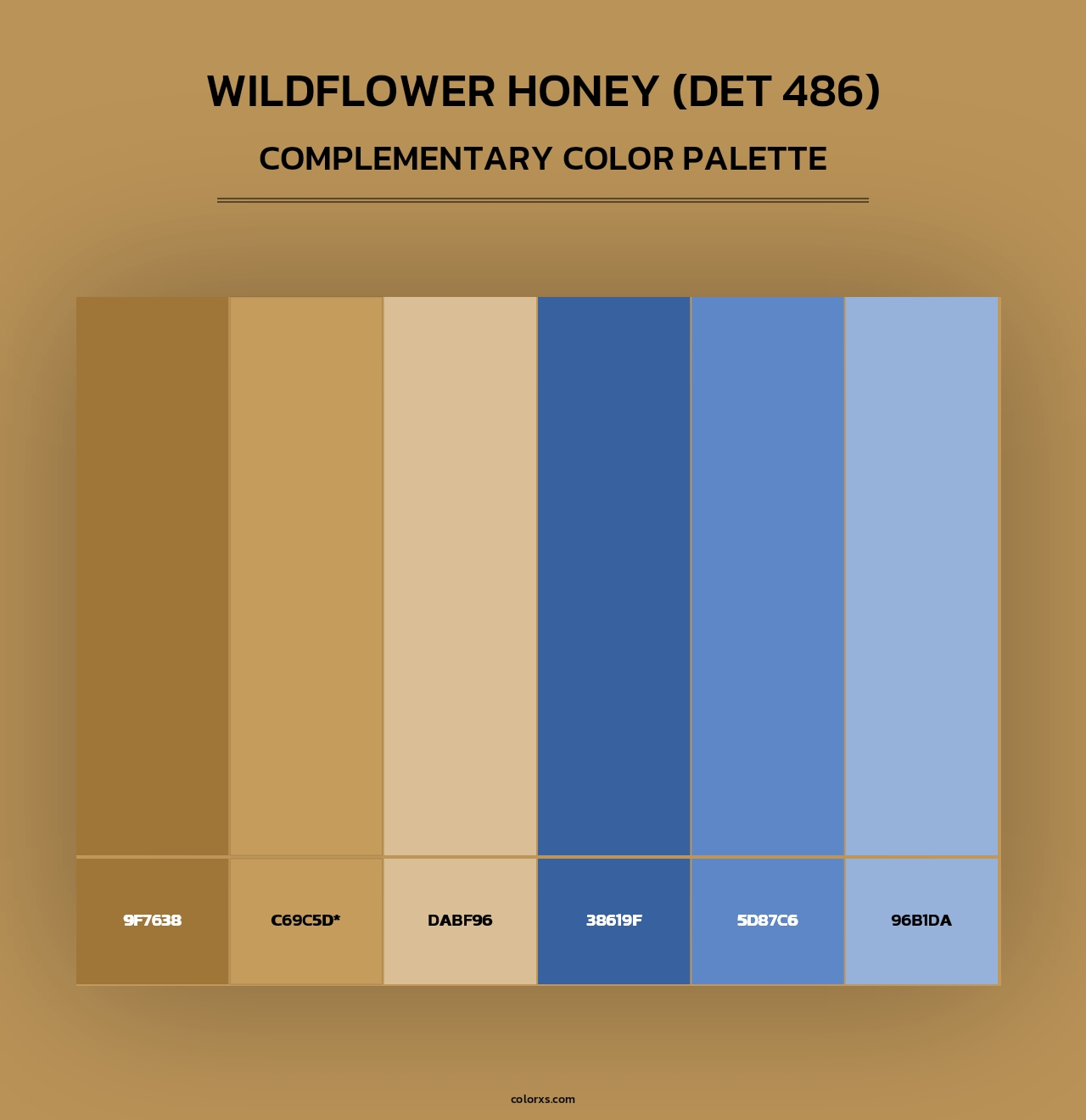 Wildflower Honey (DET 486) - Complementary Color Palette