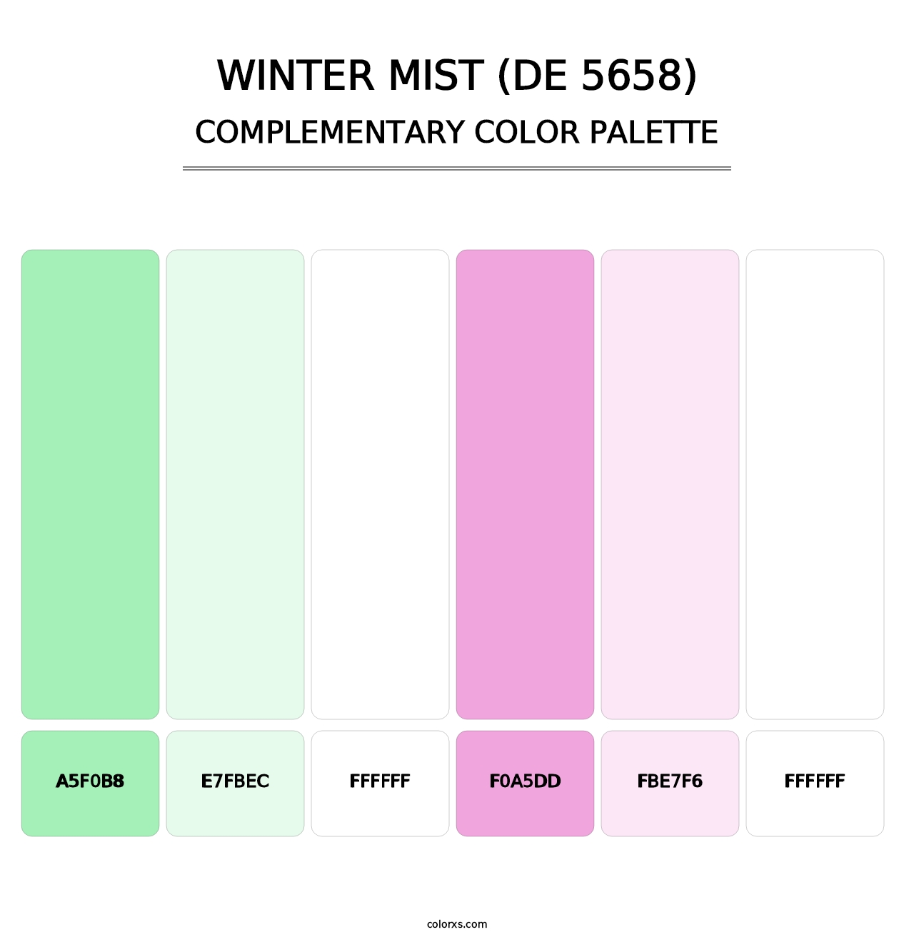Winter Mist (DE 5658) - Complementary Color Palette