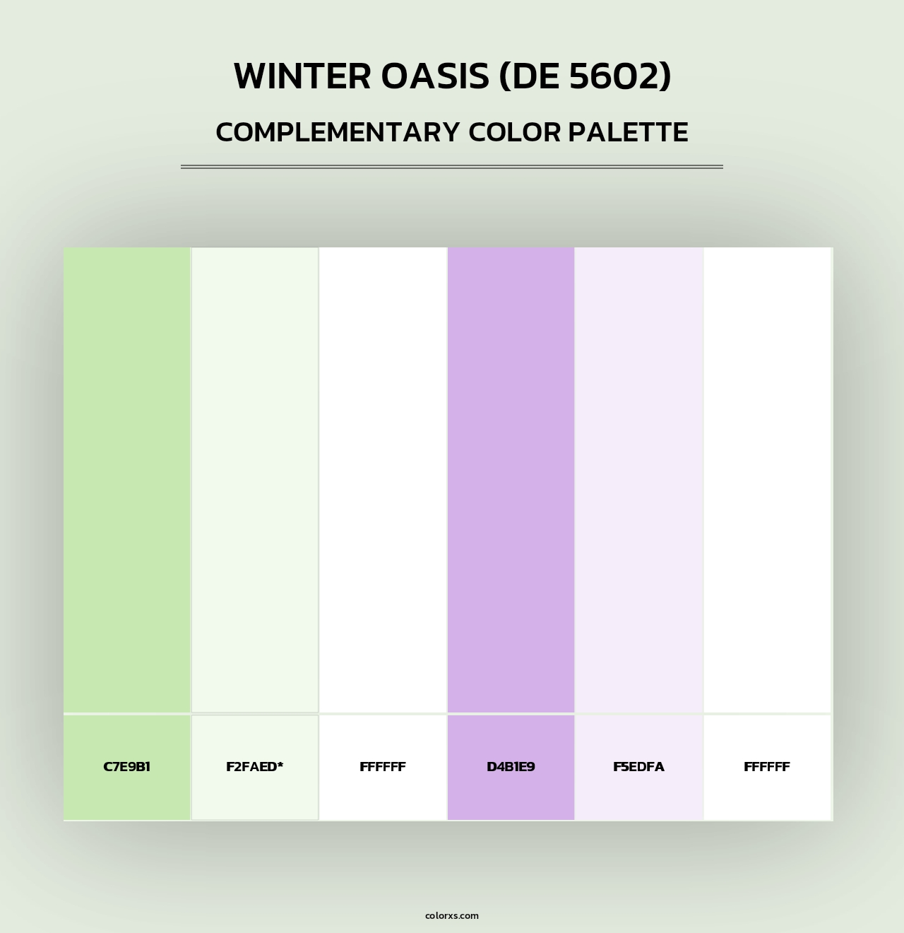 Winter Oasis (DE 5602) - Complementary Color Palette