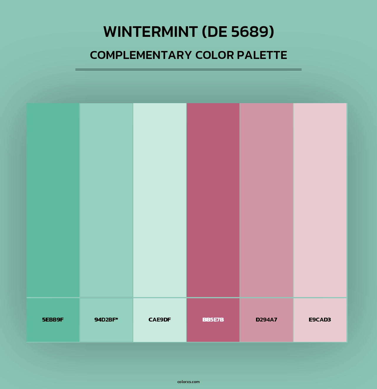 Wintermint (DE 5689) - Complementary Color Palette