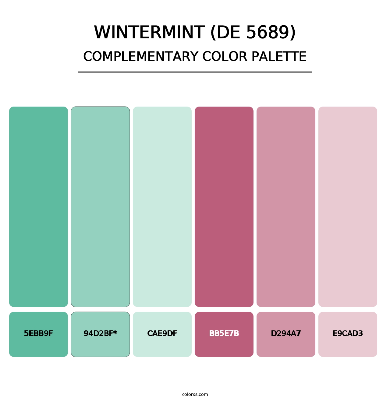 Wintermint (DE 5689) - Complementary Color Palette