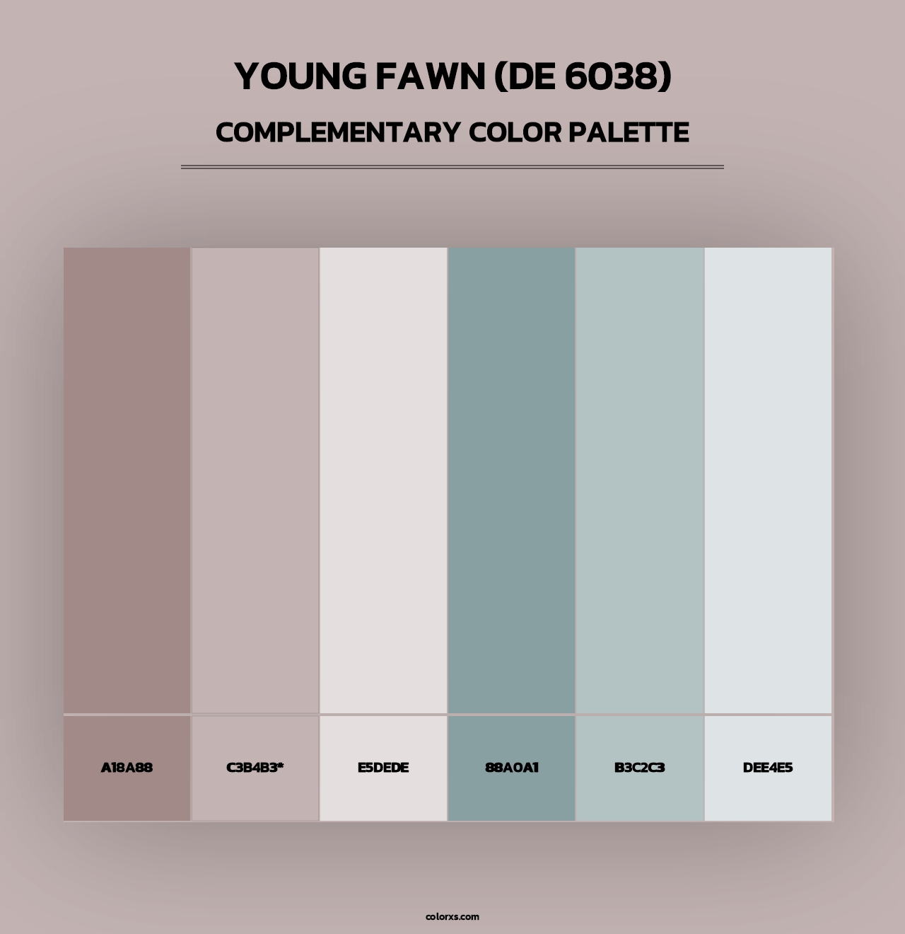 Young Fawn (DE 6038) - Complementary Color Palette