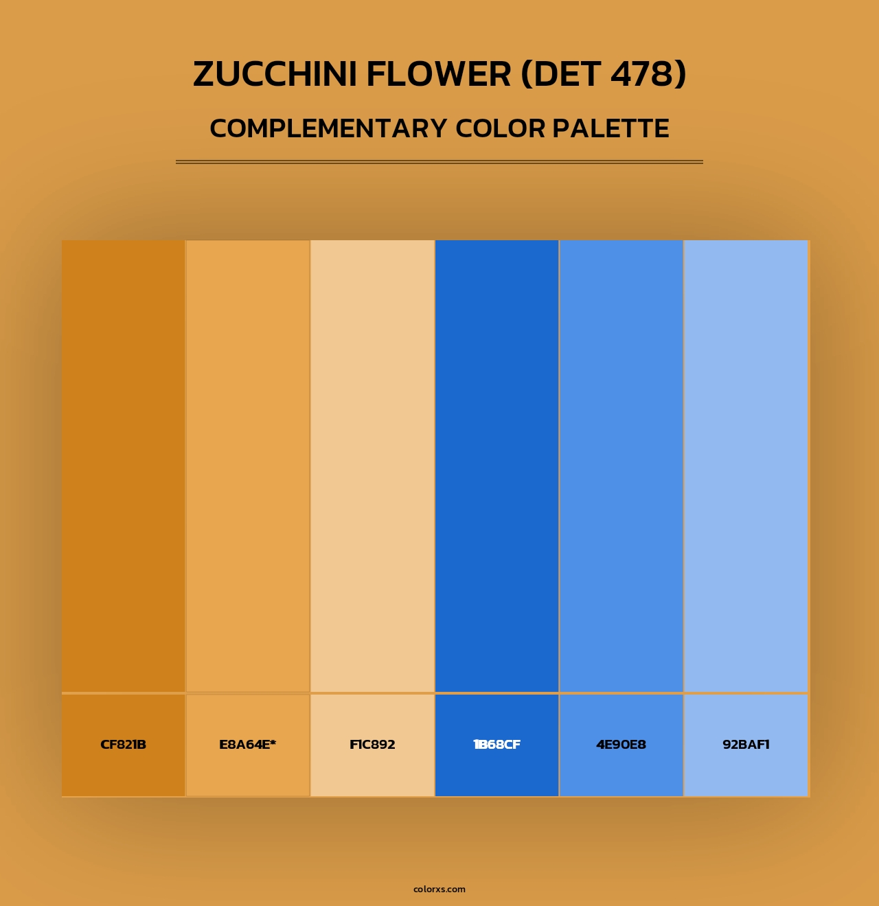Zucchini Flower (DET 478) - Complementary Color Palette