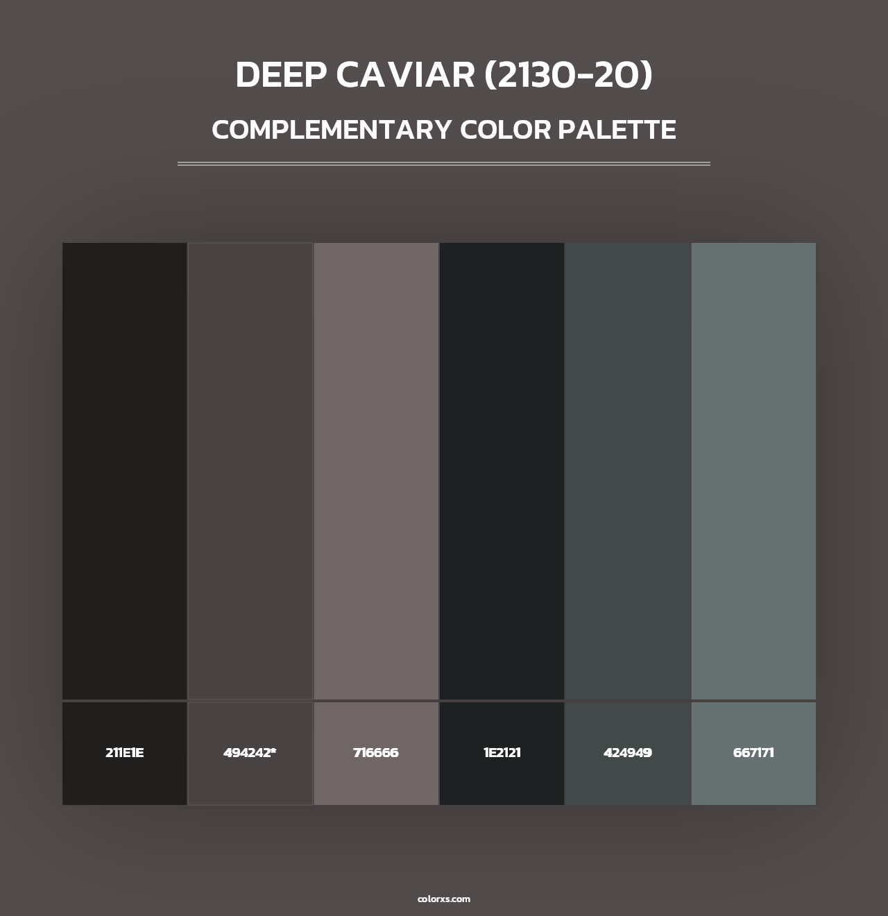 Deep Caviar (2130-20) - Complementary Color Palette