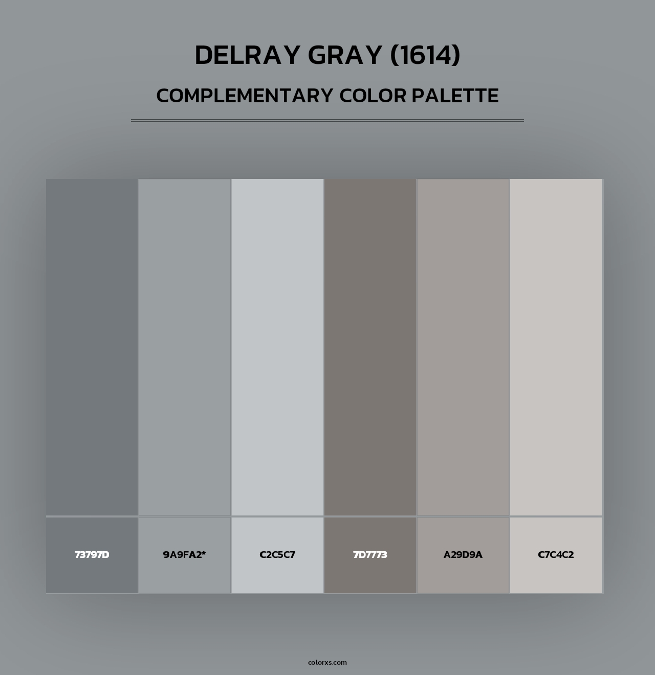 Delray Gray (1614) - Complementary Color Palette