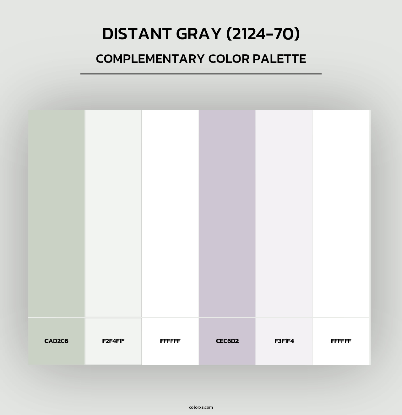 Distant Gray (2124-70) - Complementary Color Palette
