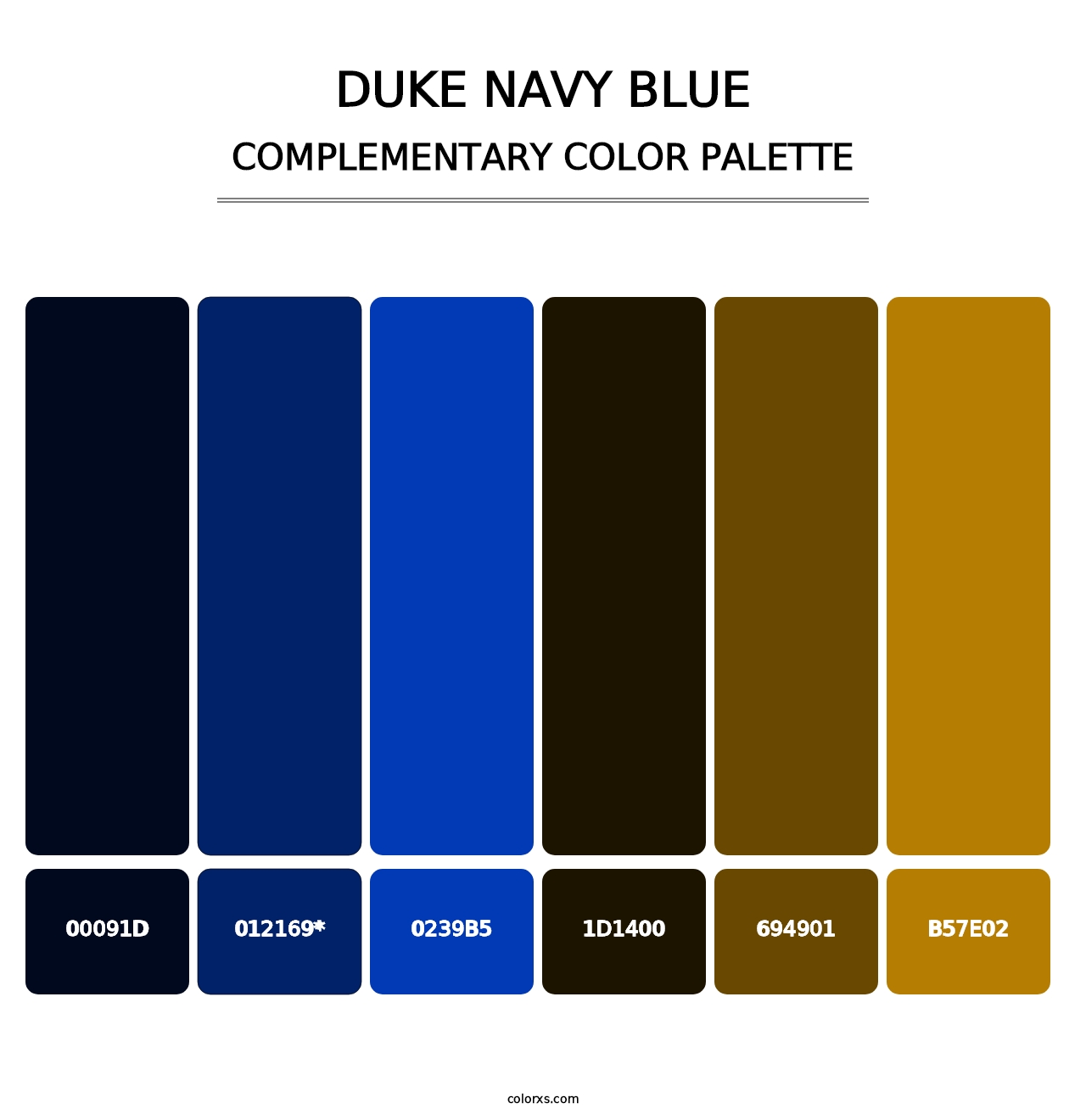 Duke Navy Blue - Complementary Color Palette